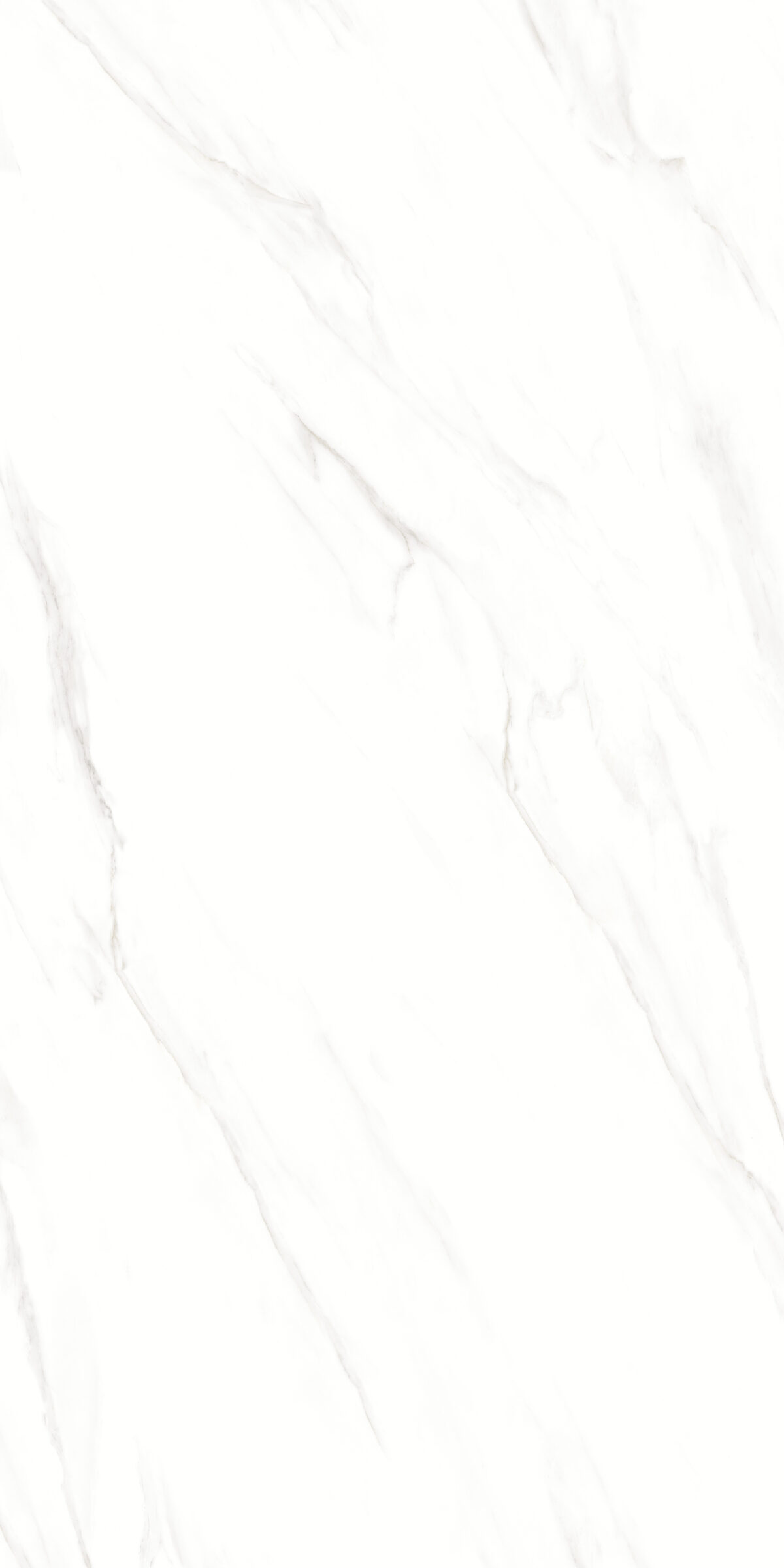 ⁦سرامیک پرسلان سفید 60×120 براق ناسا کاشی و سرامیک سعدی⁩ - الصورة ⁦3⁩